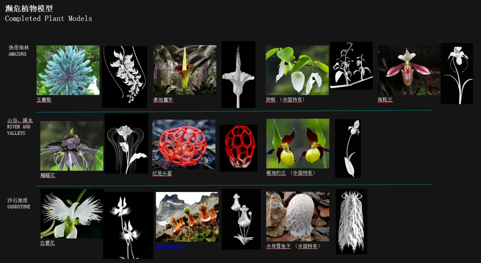 Douluo Dalu: AI-Driven Biodiversity Interactive Installation 08