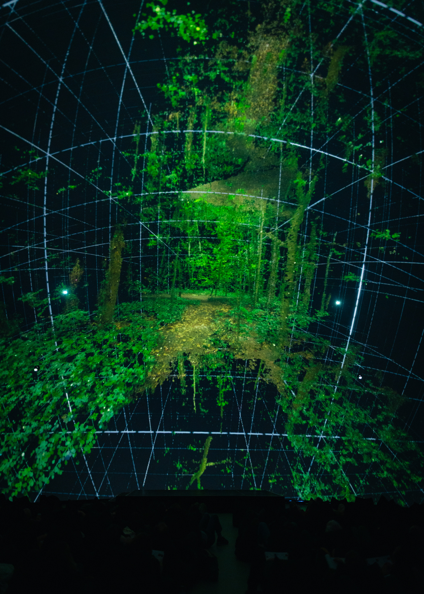 Dreamtime Canopy 06