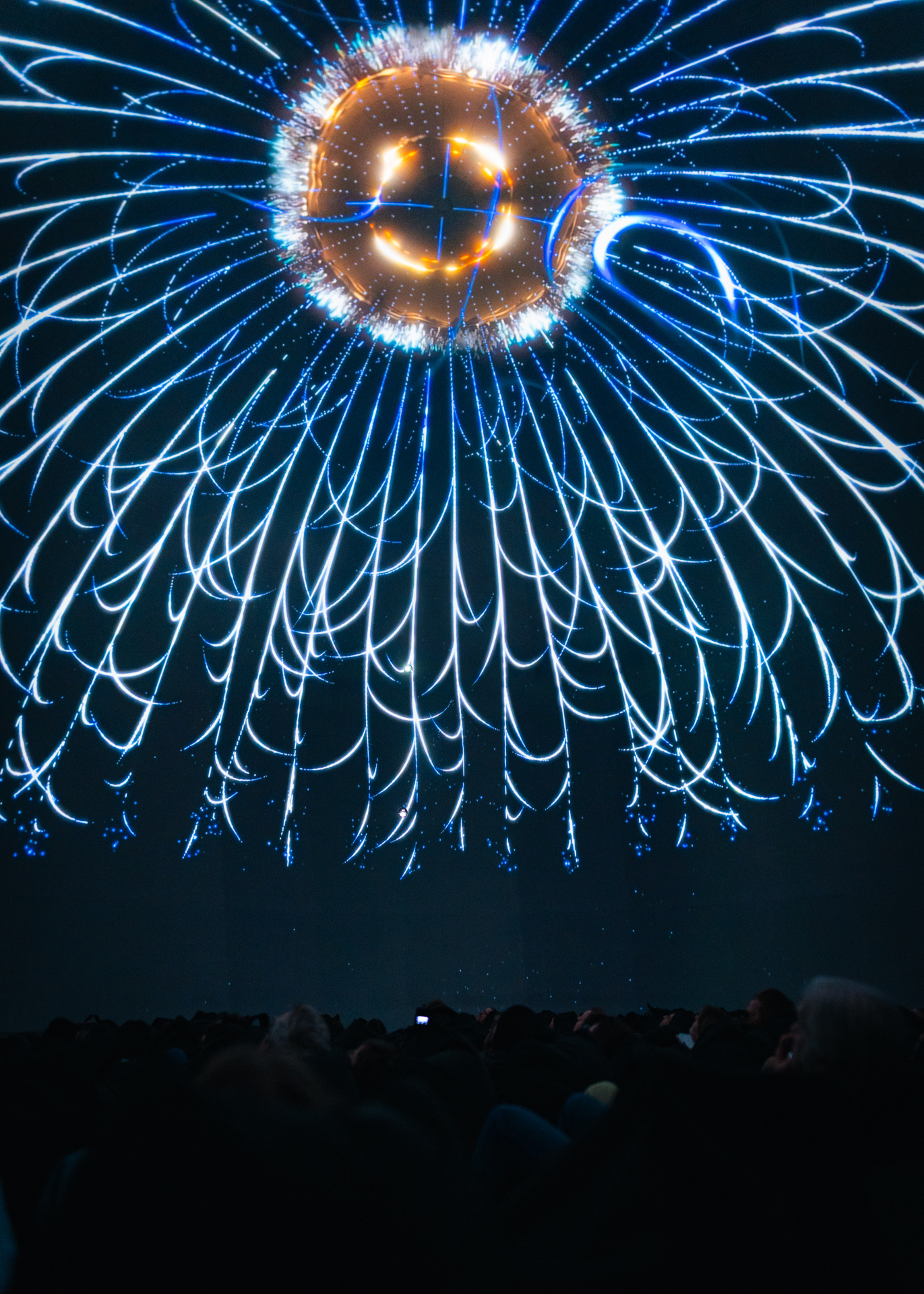 Dreamtime Canopy 10