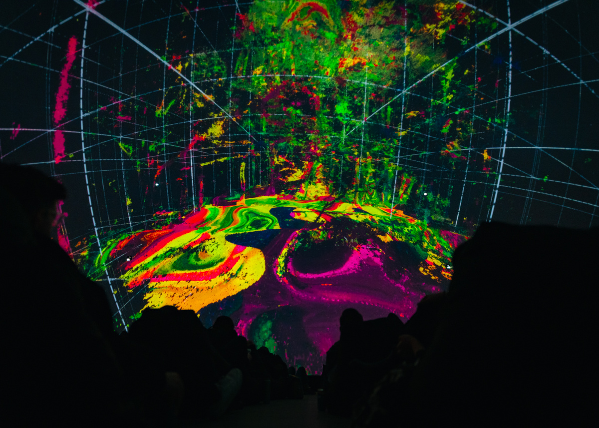 Dreamtime Canopy forest canopy real-time visual