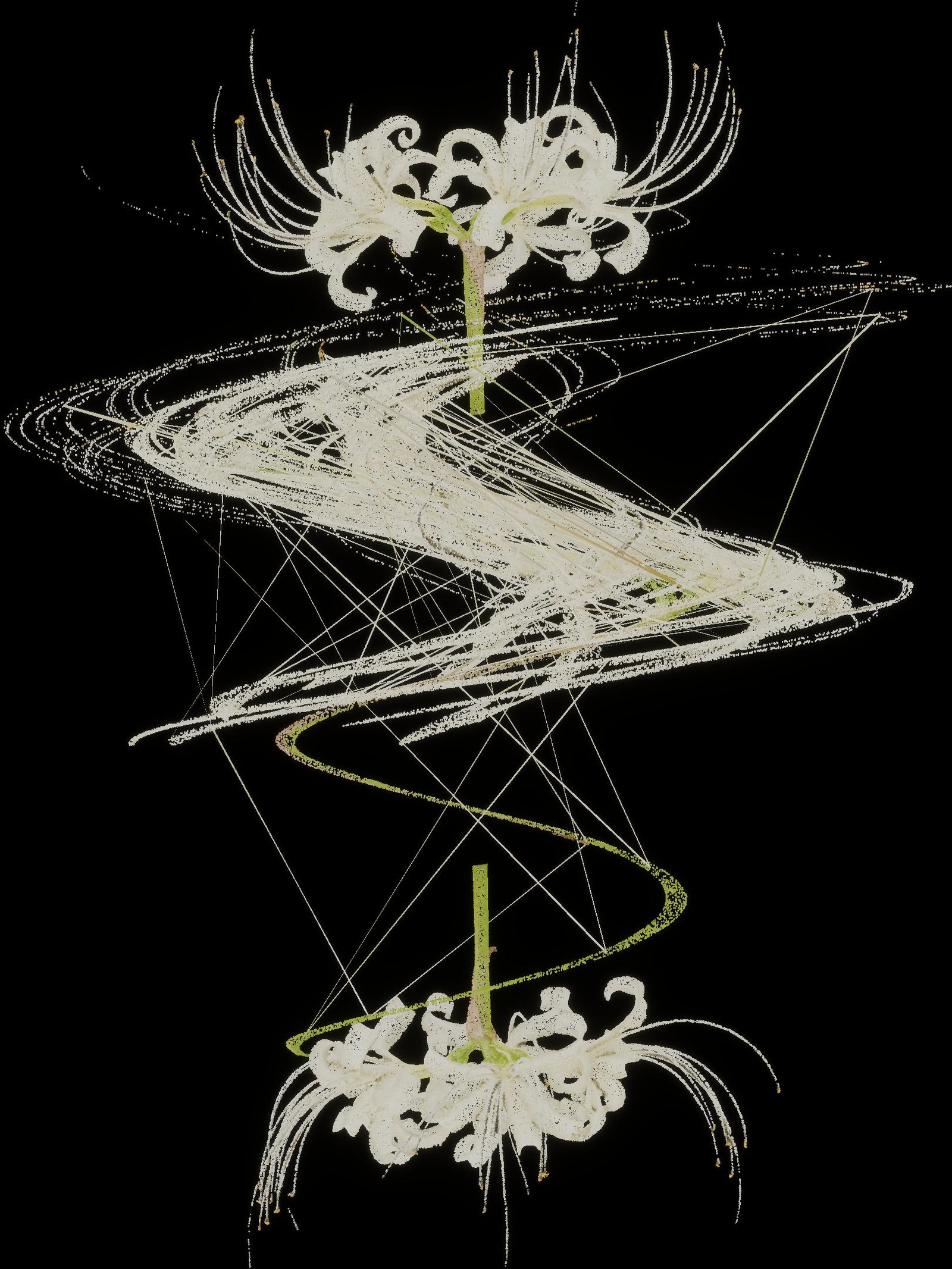 Nature Scan PART3: Bloom 02