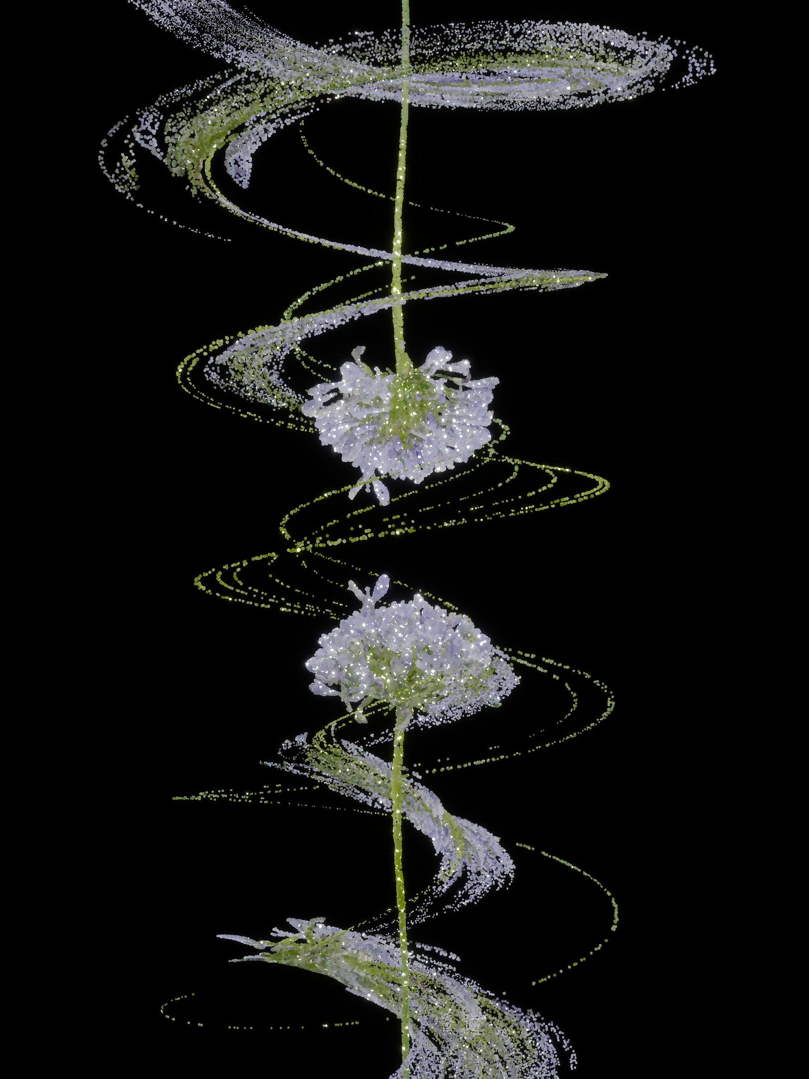 Nature Scan PART3: Bloom 04