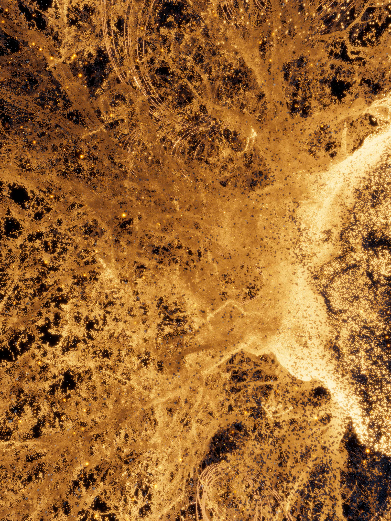 Nature Scan: Love Trees, Love Fireworks 01