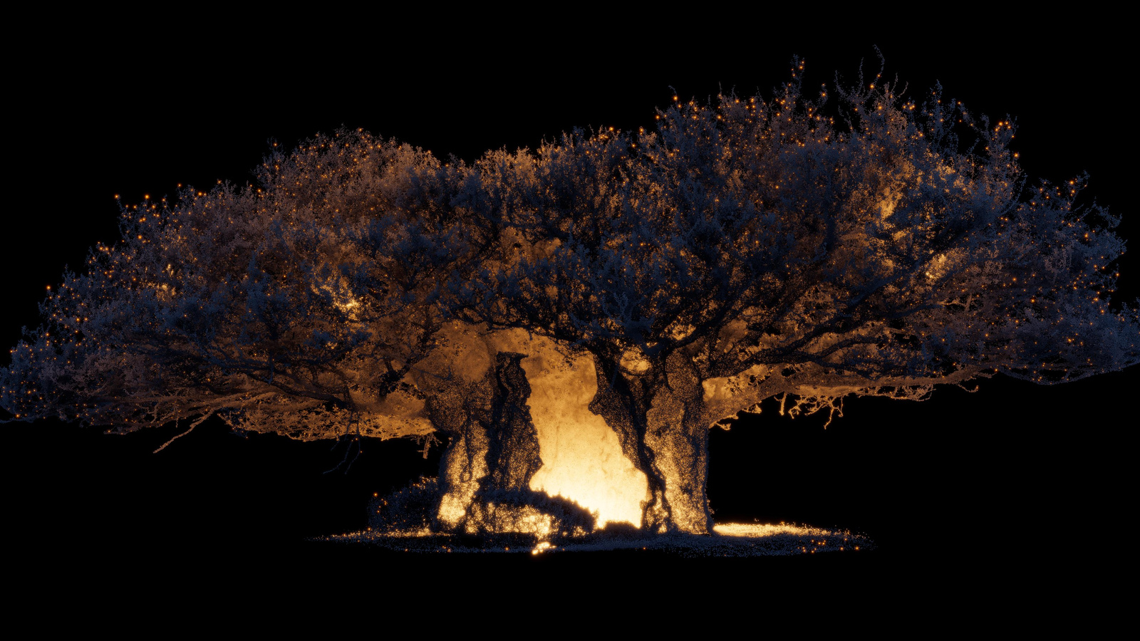 Nature Scan: Love Trees, Love Fireworks 03