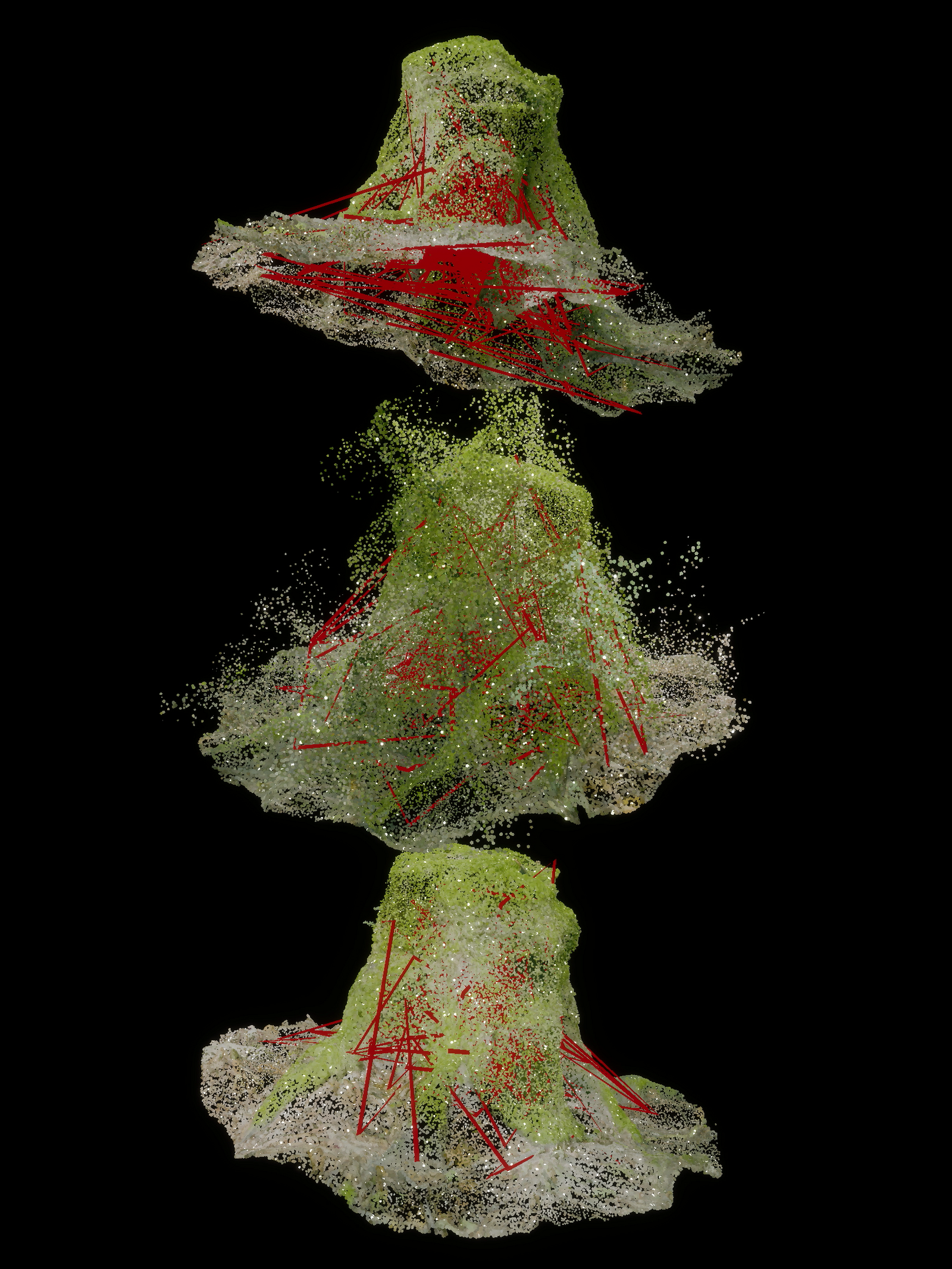 Nature Scan PART1 02