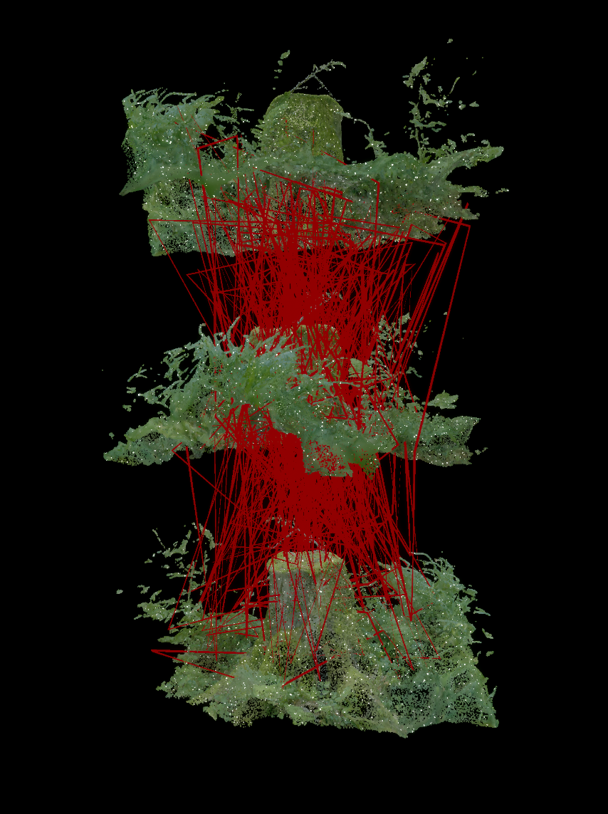 Nature Scan PART1 03