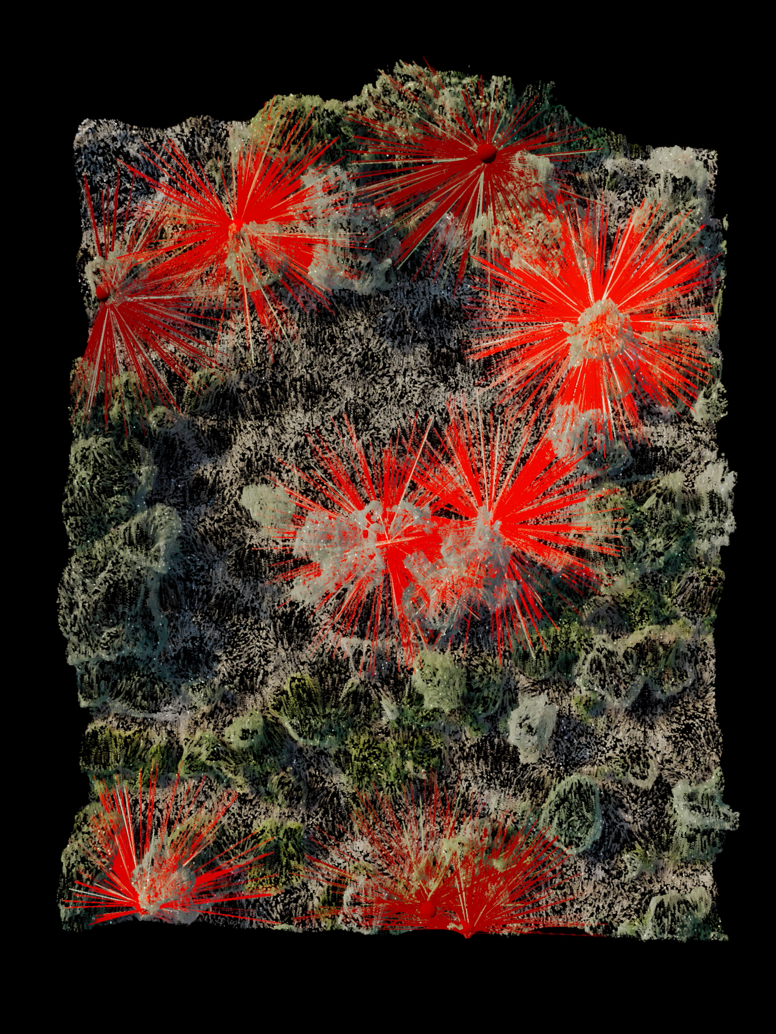 Nature Scan PART2 02